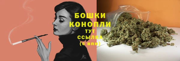 твердый Арсеньев