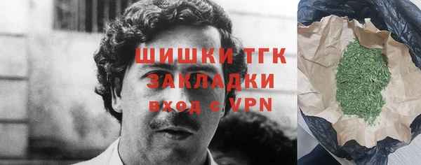 твердый Арсеньев